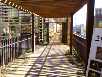 editbbe7c1f80085.jpg